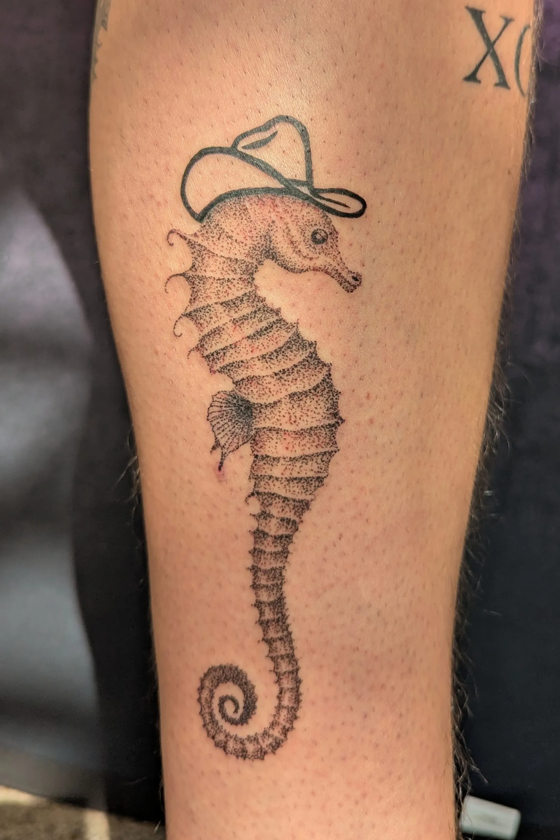 Tatouage hippocampe chapeau cowboy pointillisme – Babinks Tattoo Bordeaux